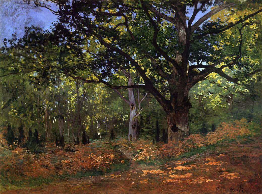 Claude Oscar Monet The Bodmer Oak, Fontainebleau - Canvas Print