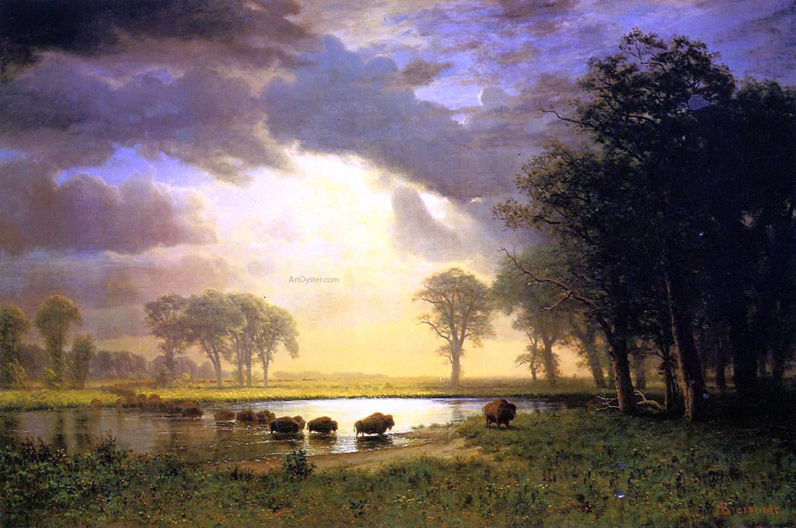 Albert Bierstadt The Buffalo Trail - Canvas Print