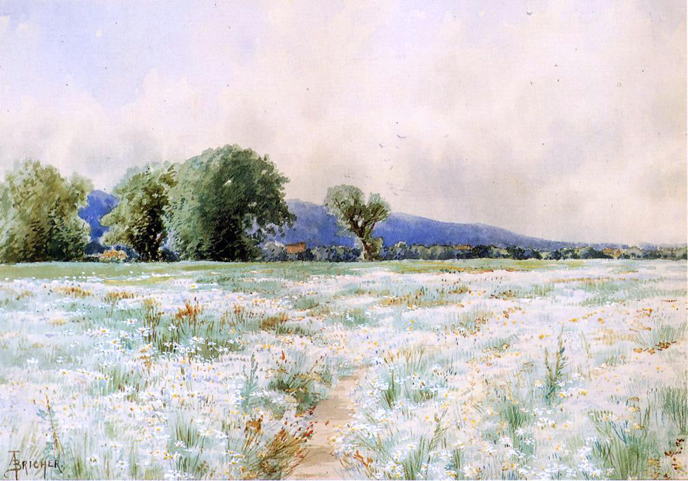 Alfred Thompson Bricher The Daisy Field - Canvas Print
