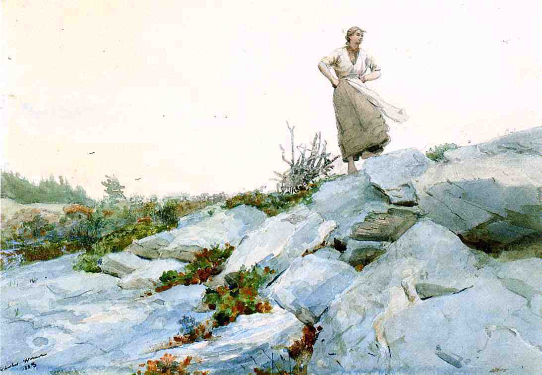 Winslow Homer The Faggot Gatherer - Canvas Print