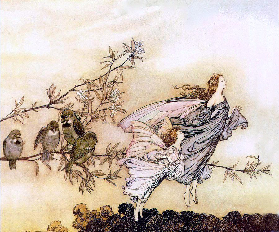 Arthur Rackham The fairies have their tiffs with the birds (also known as Fairy Tiffs) - Canvas Print