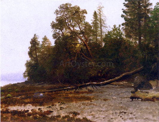 Albert Bierstadt The Fallen Tree - Canvas Print