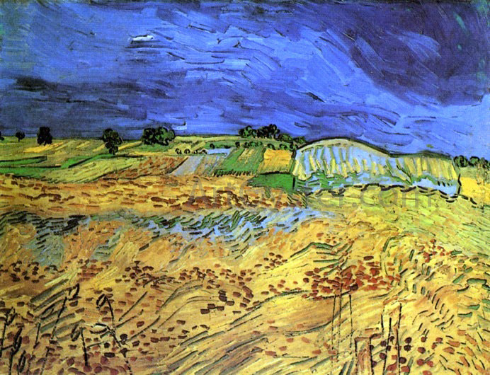 Vincent Van Gogh The Fields - Canvas Print