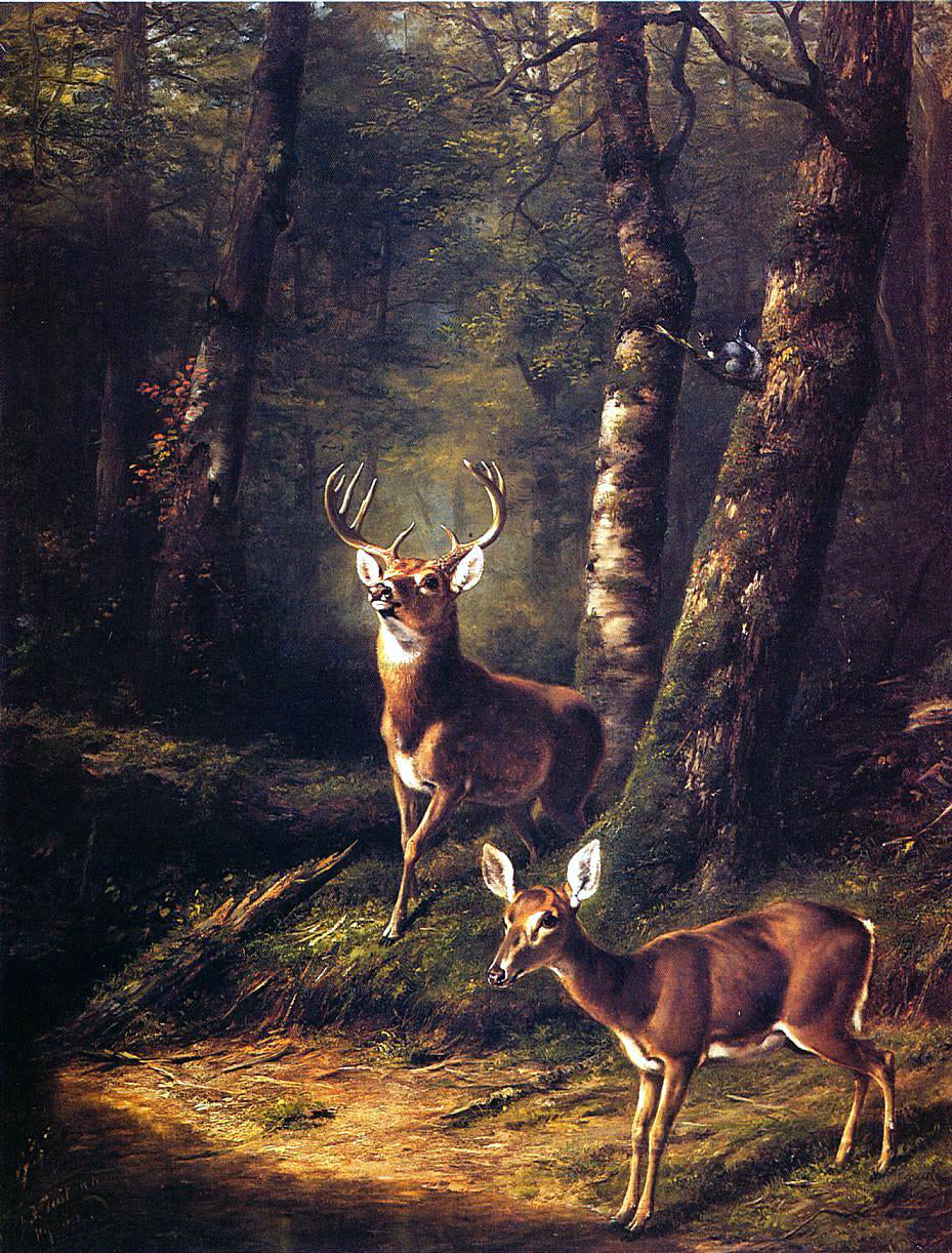 Arthur Fitzwilliam Tait The Forest: Adirondacks - Canvas Print