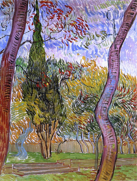 Vincent Van Gogh The Garden of Saint-Paul Hospital - Canvas Print