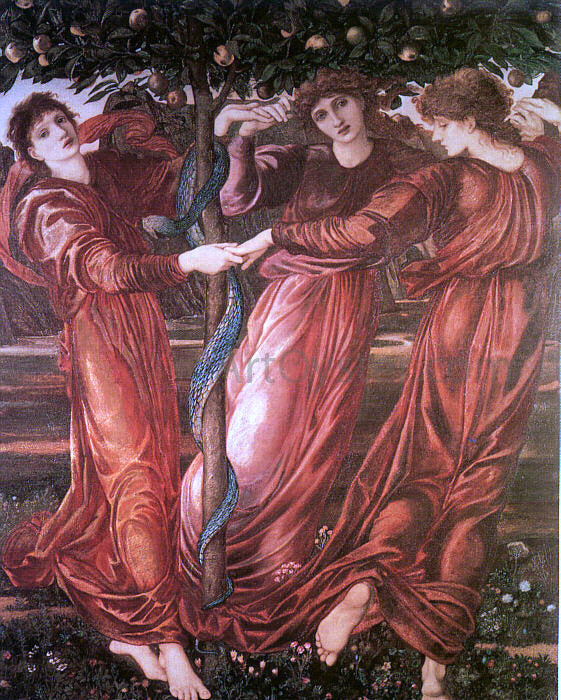 Sir Edward Burne-Jones The Garden of the Hesperides - Canvas Print