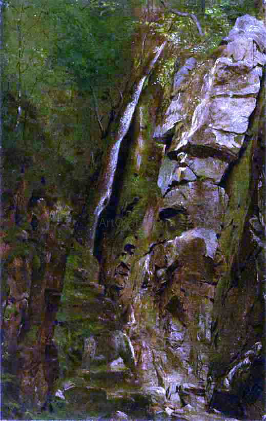 Alexander Helwig Wyant The Gorge - Canvas Print