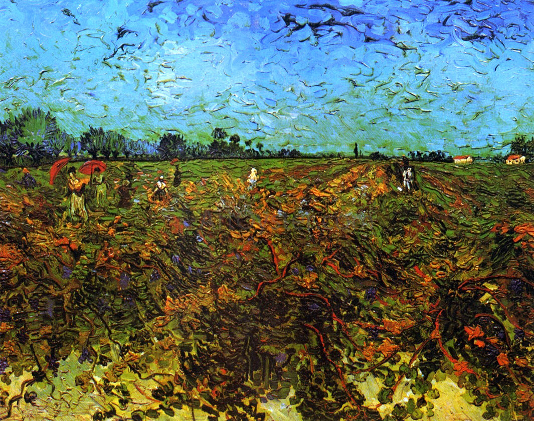 Vincent Van Gogh The Green Vineyard - Canvas Print