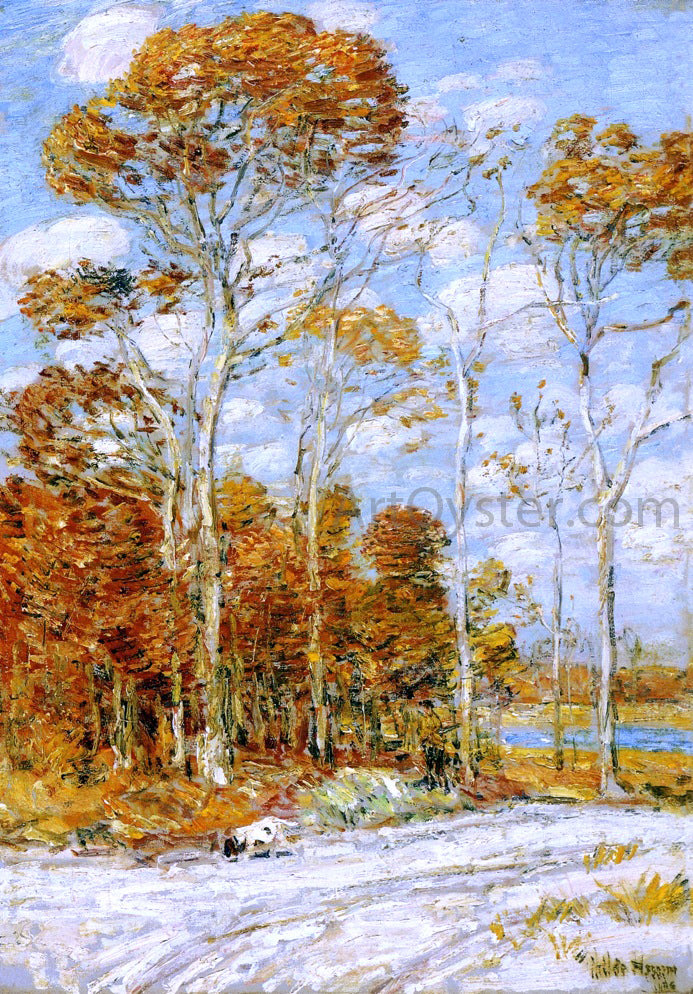 Frederick Childe Hassam The Hawk's Nest - Canvas Print
