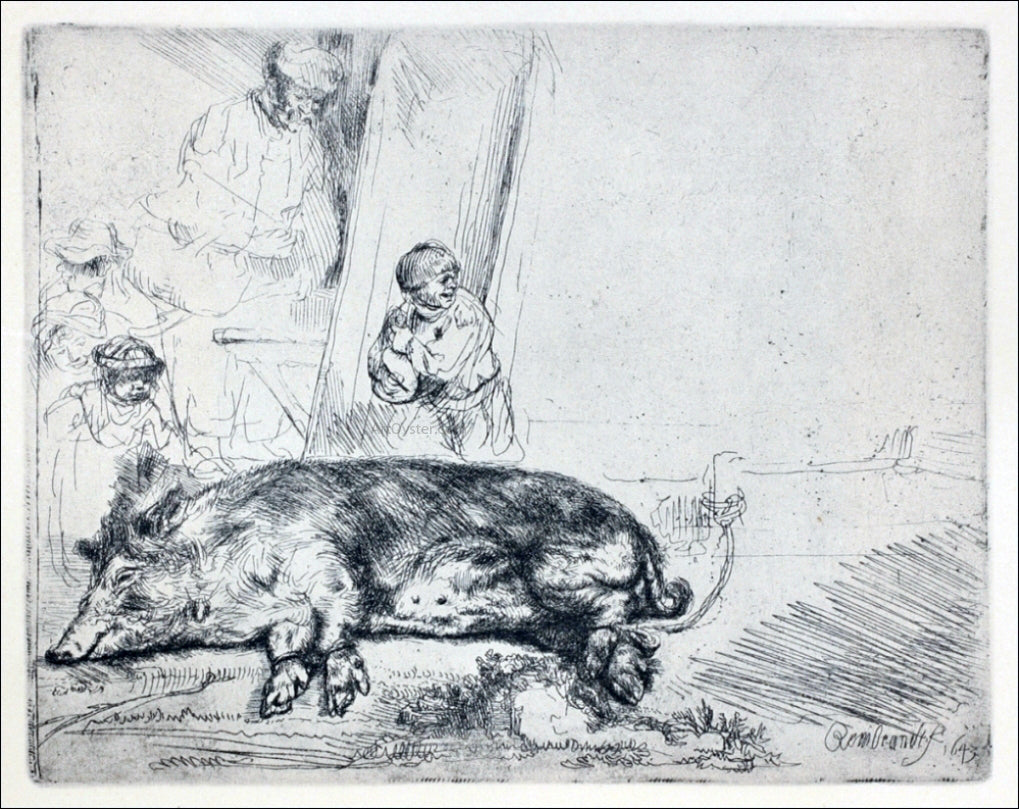 Rembrandt Van Rijn The Hog - Canvas Print