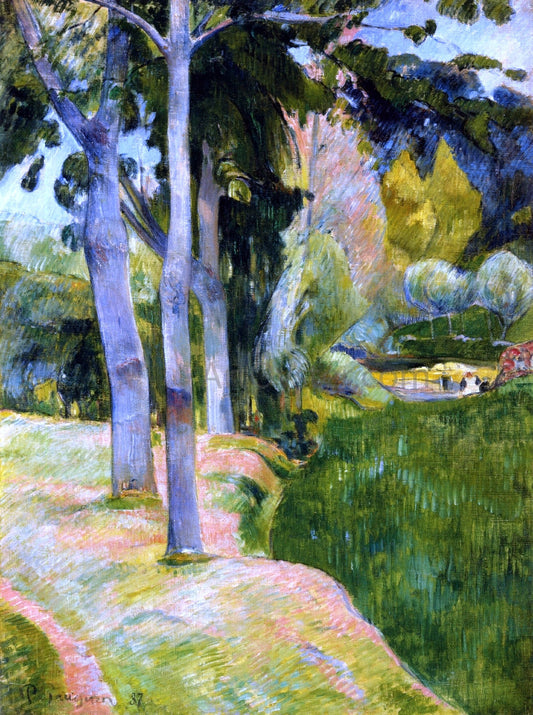 Paul Gauguin The Large Trees - Canvas Print