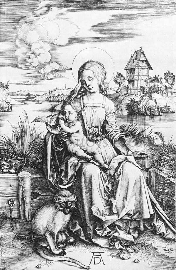 Albrecht Durer The Madonna with the Monkey - Canvas Print