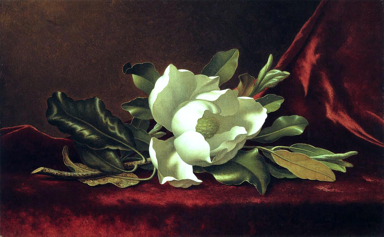 Martin Johnson Heade The Magnolia Blossom - Canvas Print