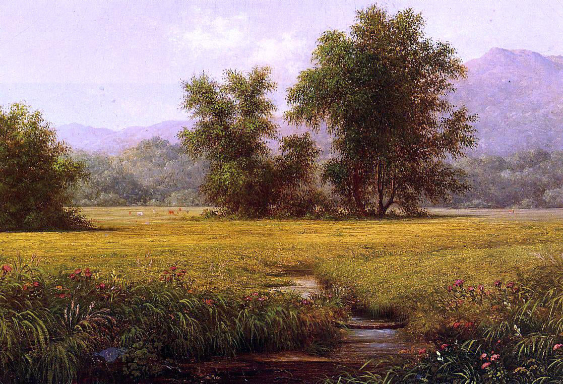 Martin Johnson Heade The Meadow - Canvas Print