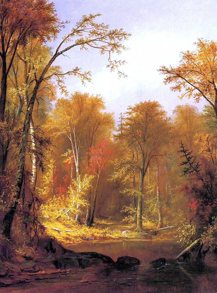 Augustus Rockwell The Moose River - Canvas Print