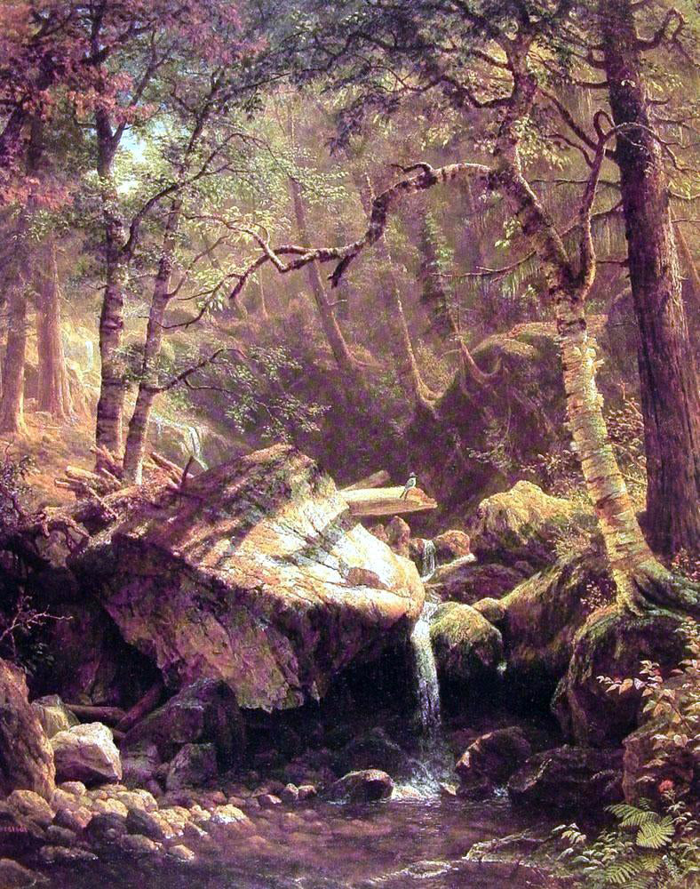 Albert Bierstadt The Mountain Brook - Canvas Print