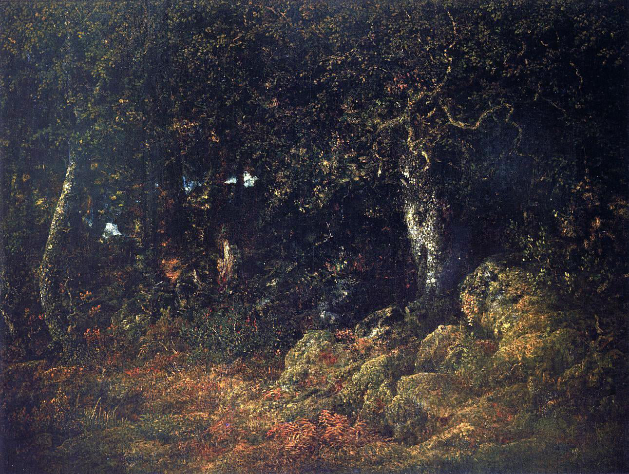 Theodore Rousseau The Oak in the Rocks - Canvas Print