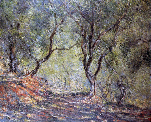 Claude Oscar Monet The Olive Tree Wood in the Moreno Garden - Canvas Print