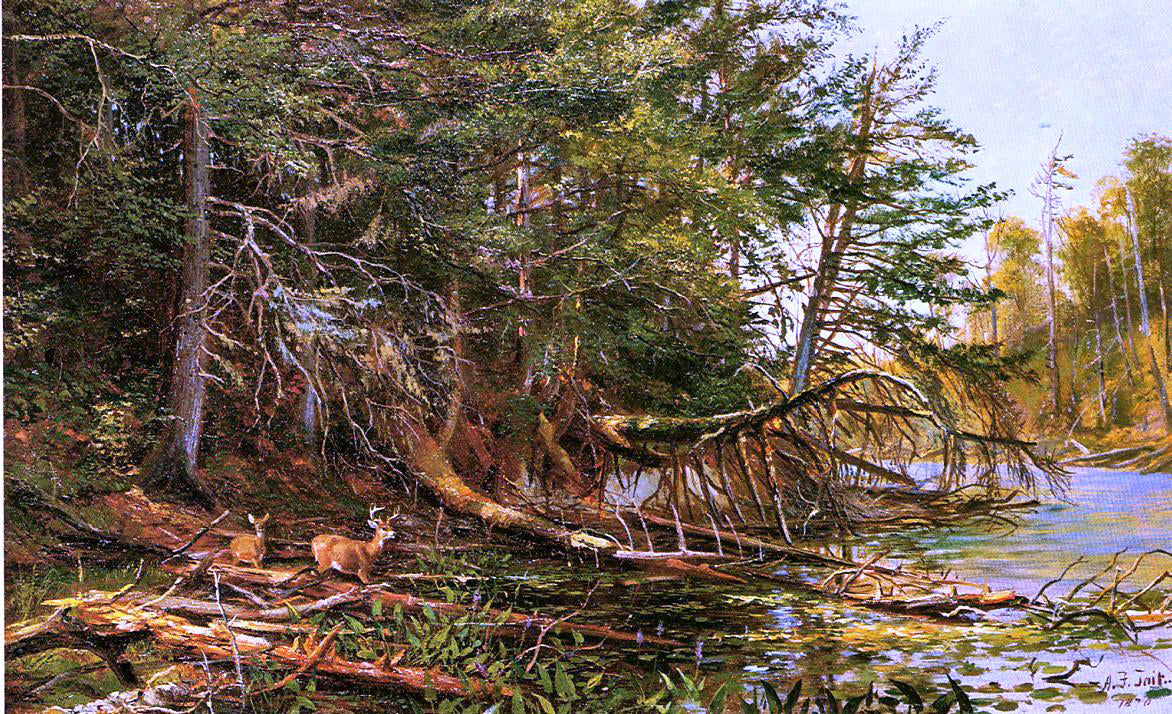 Arthur Fitzwilliam Tait The Outlet of St. Regis Lake - Canvas Print