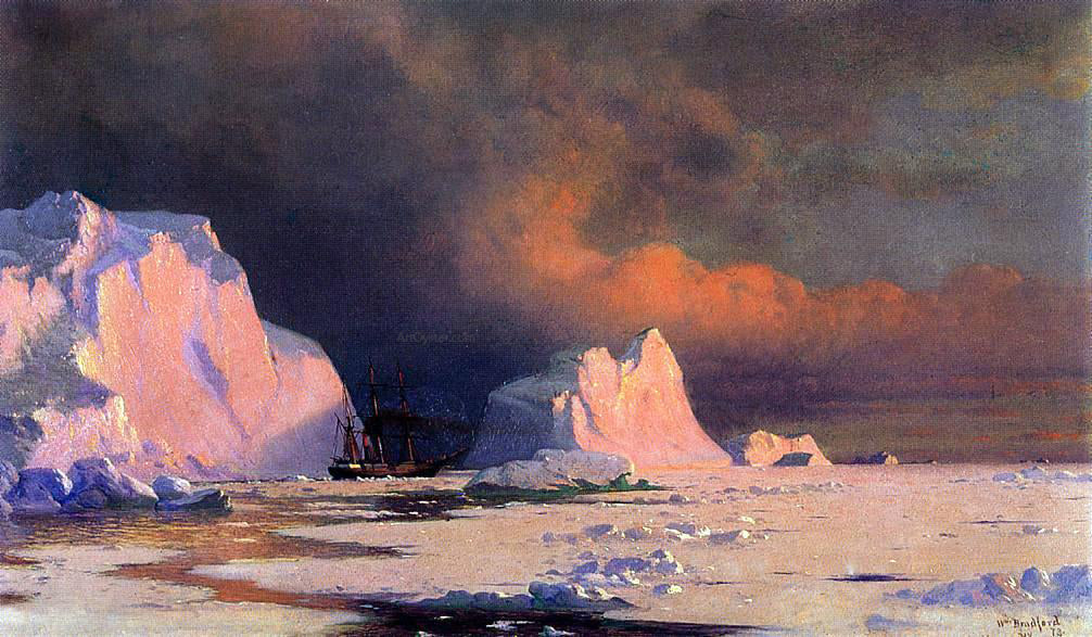 William Bradford The 'Panther' in Melville Bay - Canvas Print