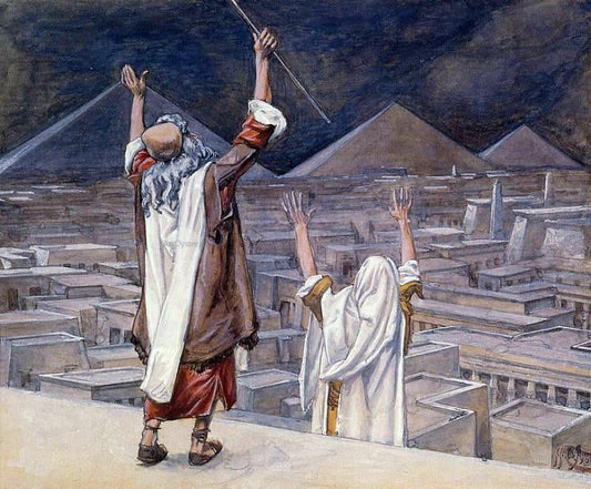 James Tissot The Plague of Locusts - Canvas Print