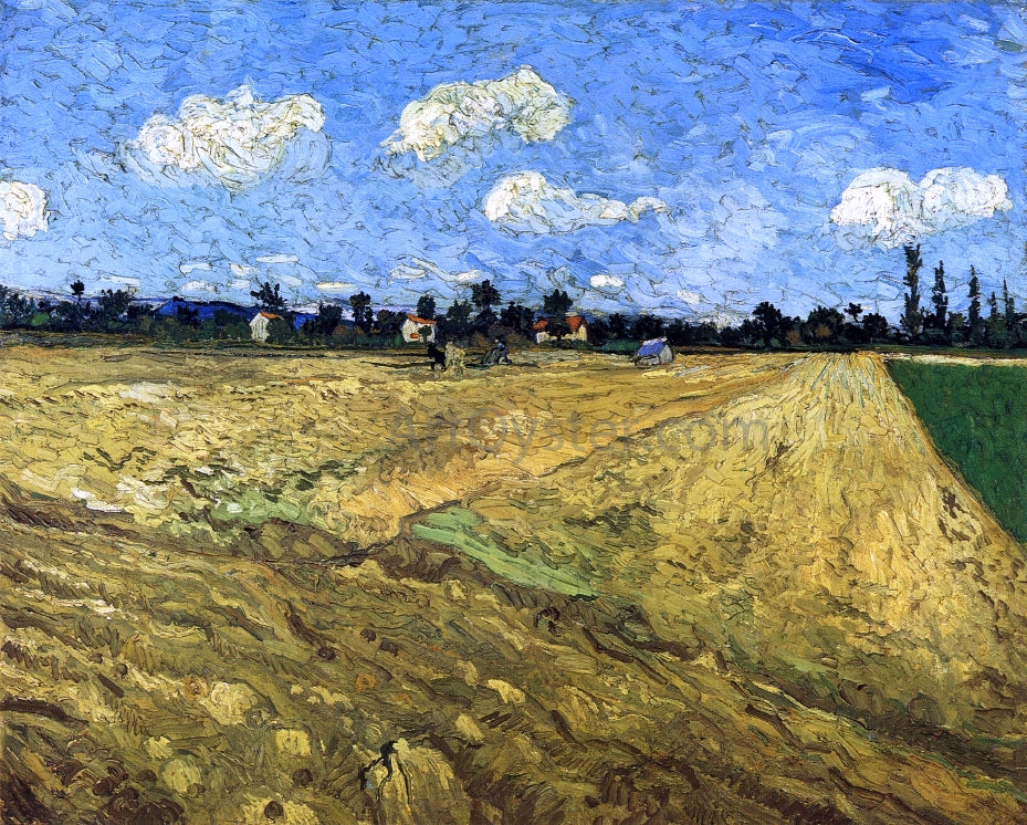 Vincent Van Gogh The Ploughed Field - Canvas Print