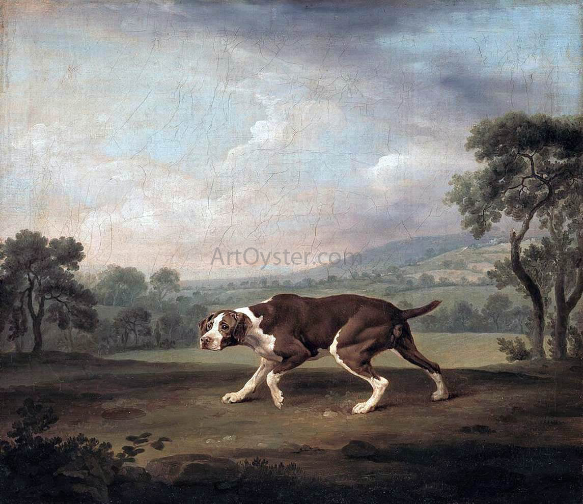 George Stubbs The Pointer - Canvas Print