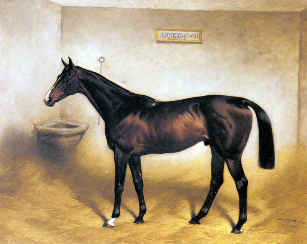 Basil Nightingale The Racehorse Abbeywood In A Stable - Canvas Print