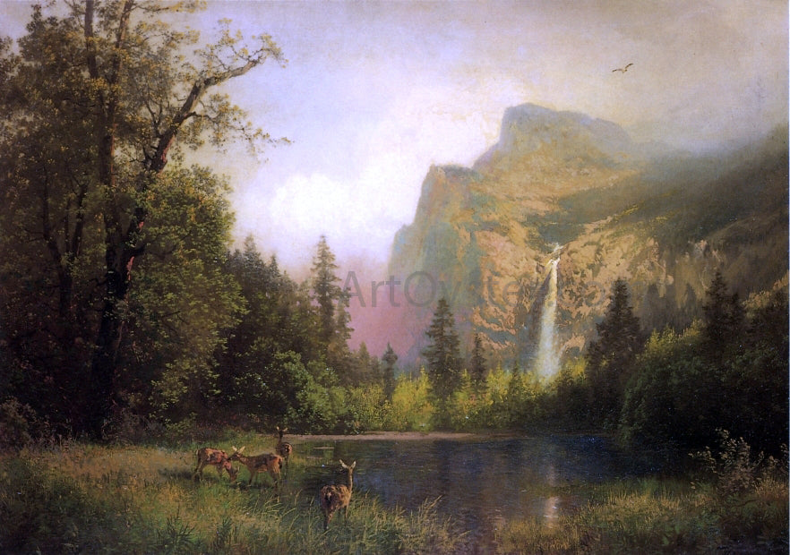 Herman Herzog The Waterfall - Canvas Print