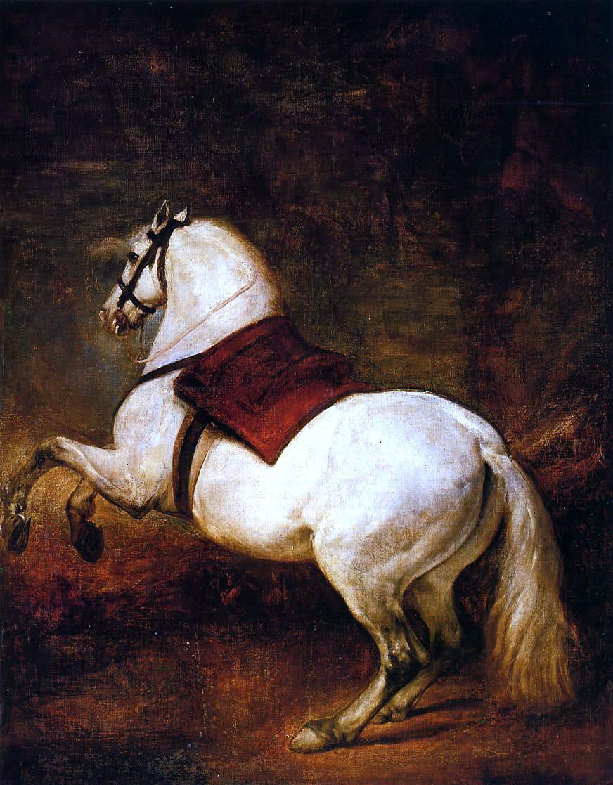 Diego Velazquez The White Horse - Canvas Print