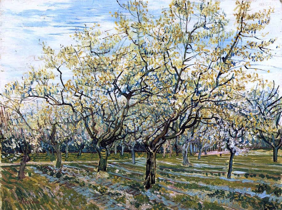 Vincent Van Gogh The White Orchard - Canvas Print