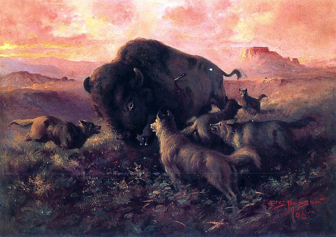 Frank Tenney Johnson The Wounded Buffalo - Canvas Print
