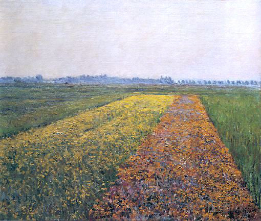 Gustave Caillebotte The Yellow Fields at Gennevilliers - Canvas Print