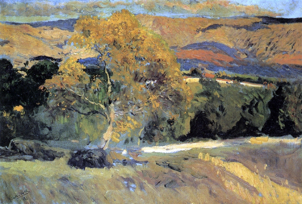 Joaquin Sorolla Y Bastida The Yellow Tree, La Granja - Canvas Print