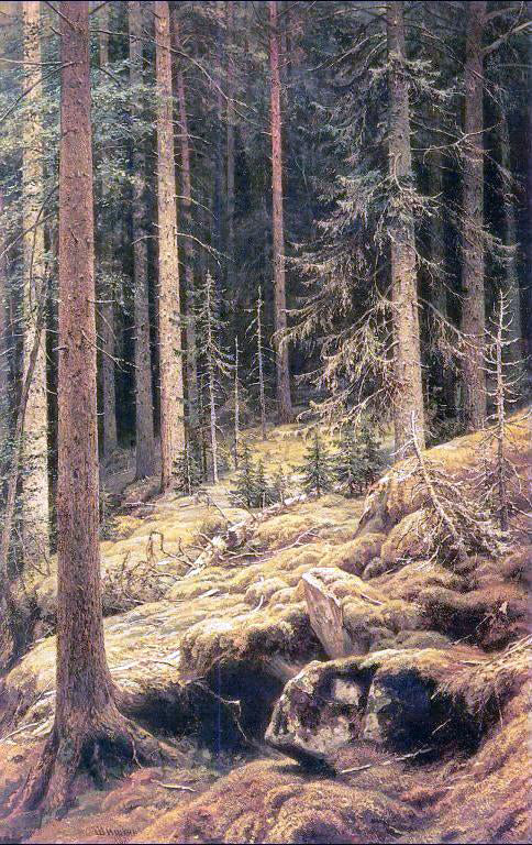 Ivan Ivanovich Shishkin Thickets - Canvas Print