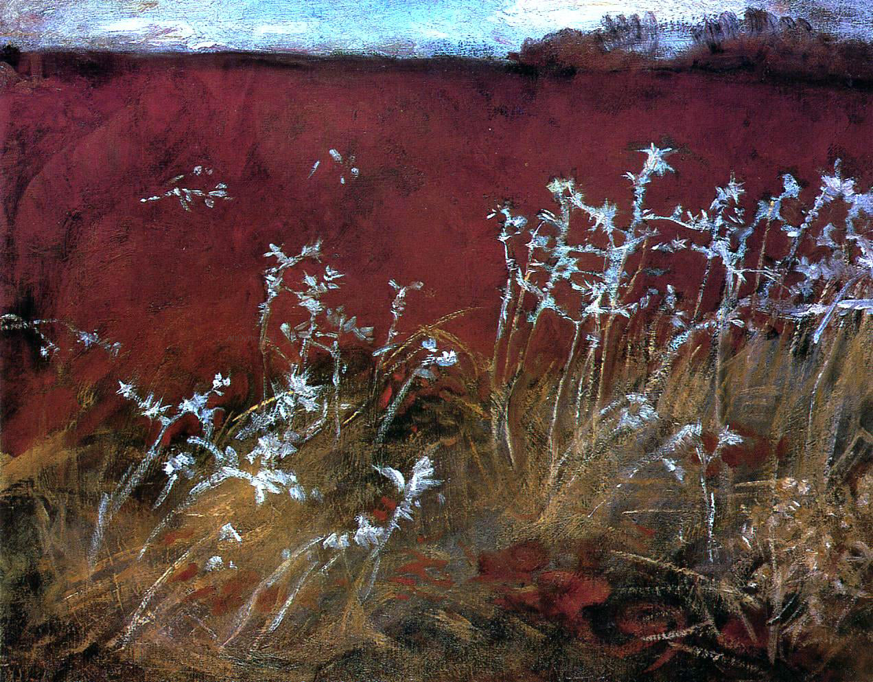 John Singer Sargent Thistles - Canvas Print