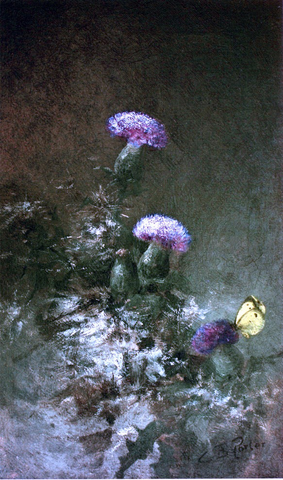 Charles Ethan Porter Thistles with Butterfly - Canvas Print