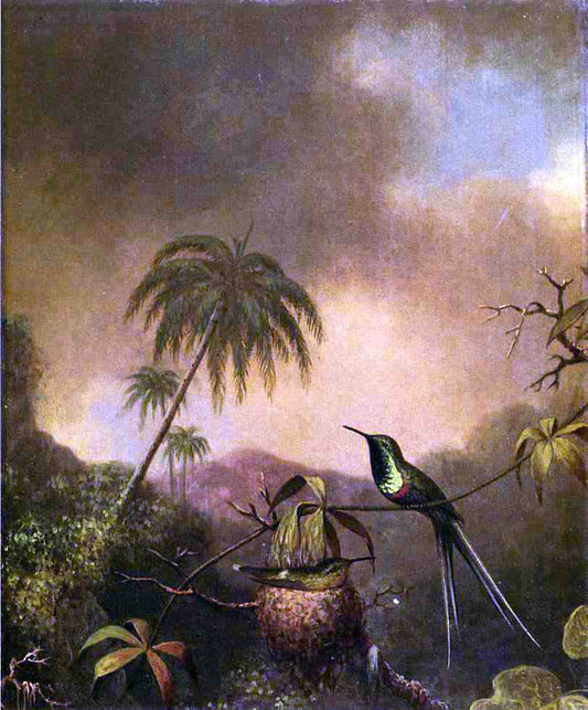 Martin Johnson Heade Thorn-Tail, Brazil - Canvas Print