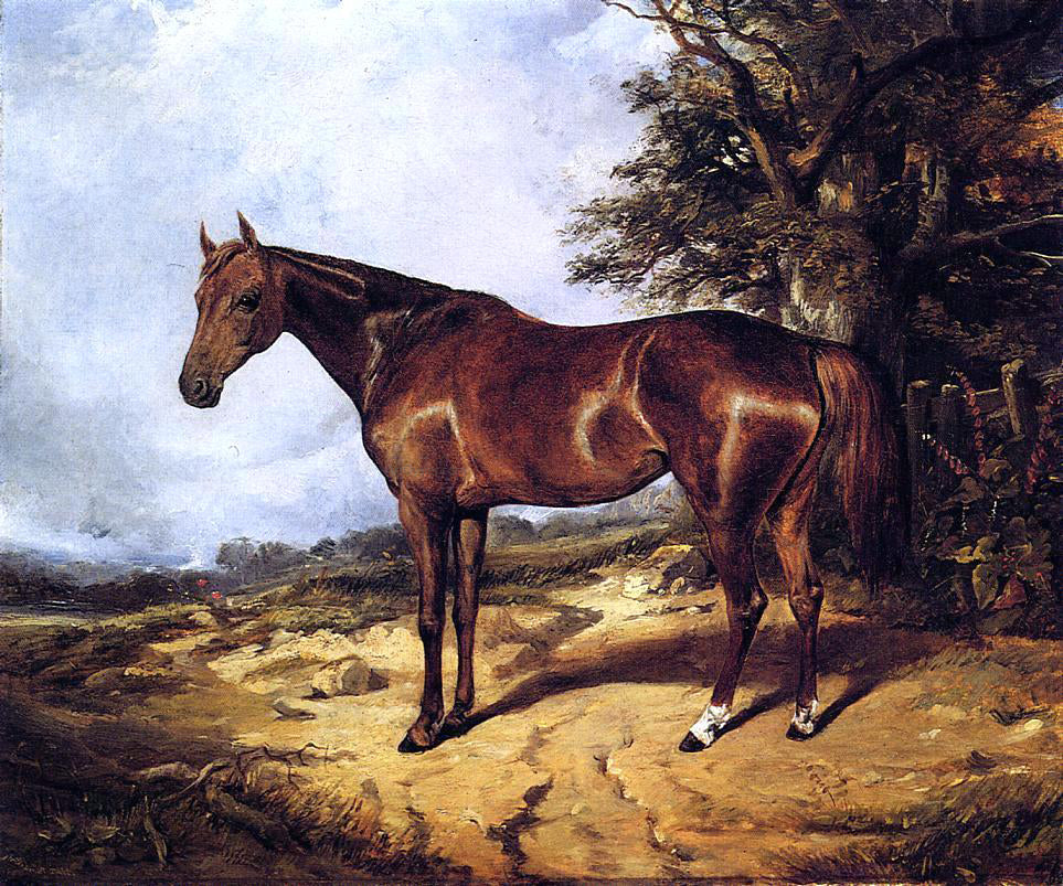 Arthur Fitzwilliam Tait Thoroughbred - Canvas Print