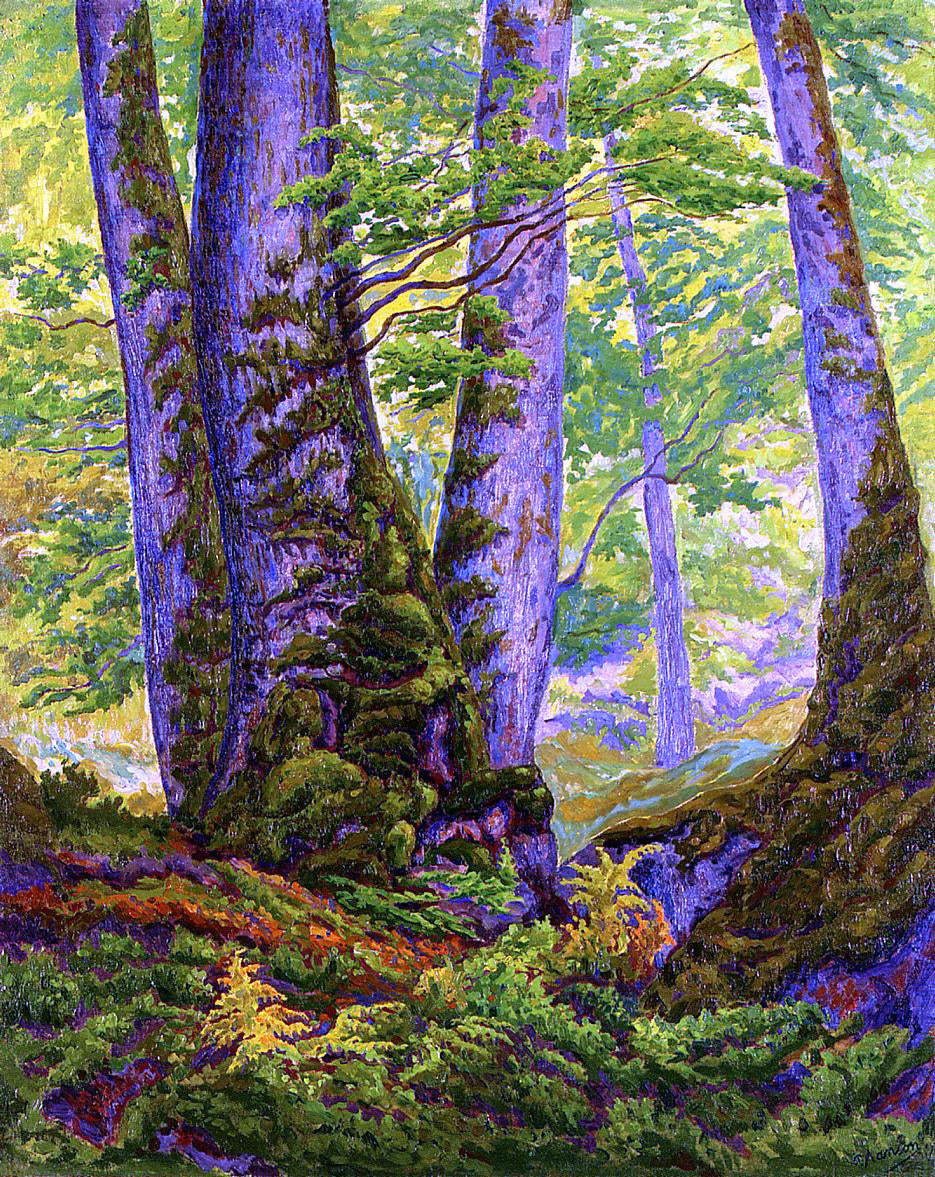 Paul Ranson Three Beeches - Canvas Print