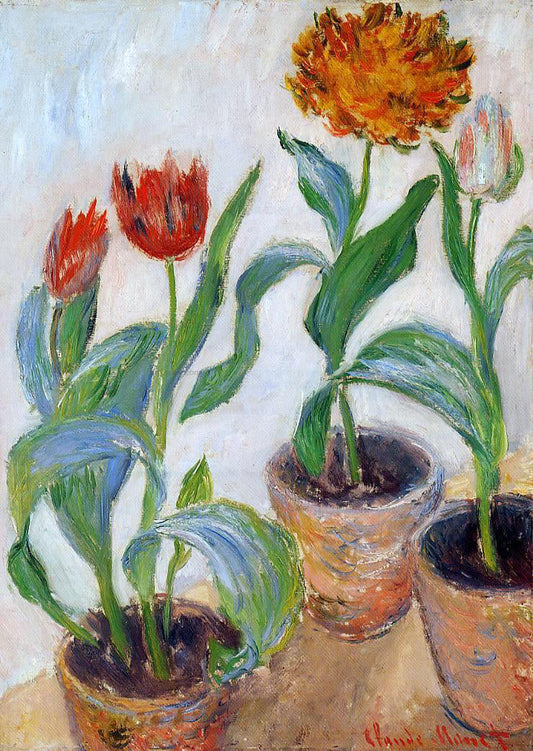 Claude Oscar Monet Three Pots of Tulips - Canvas Print