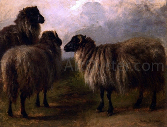 Rosa Bonheur Three Wooly Sheep - Canvas Print