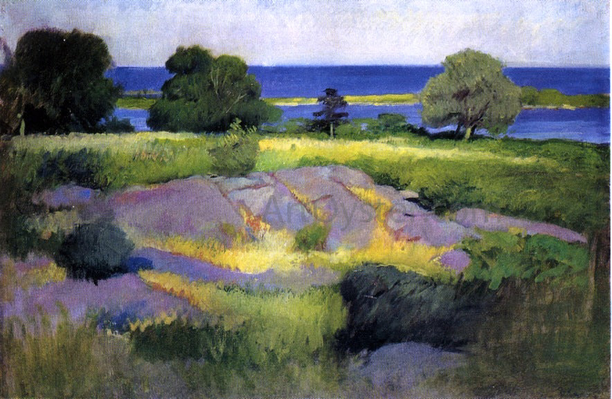 Frank Duveneck Tidelands - Canvas Print