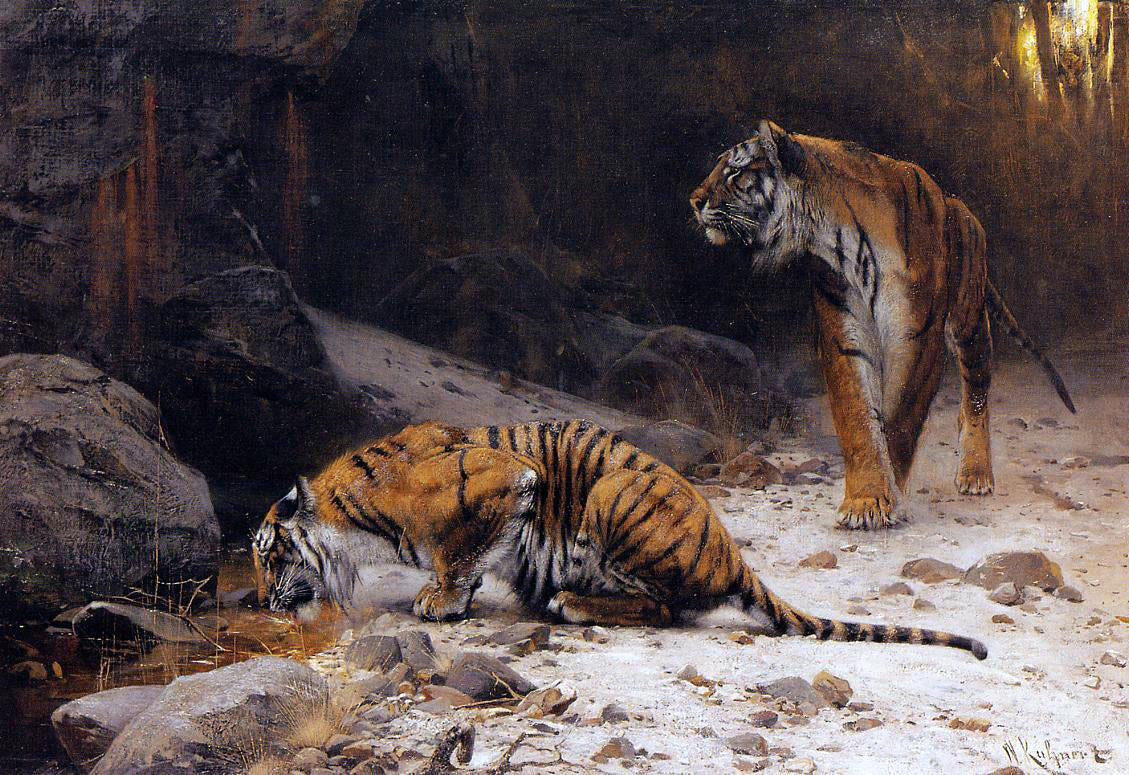 Wilhelm Kuhnert Tigers at a Drinking Pool - Canvas Print