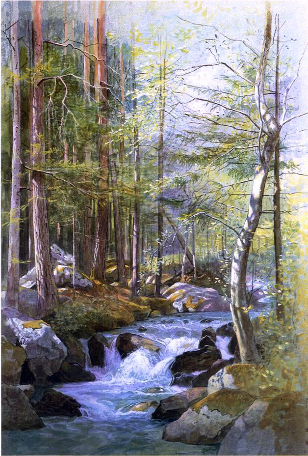 William Stanley Haseltine Torrent in Wood behind Mill Dam, Vahrn near Brixen, Tyrol - Canvas Print