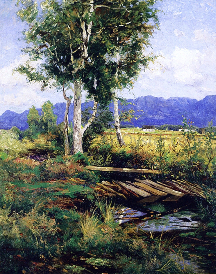 Homer Dodge Martin Toward the Adirondacks - Canvas Print