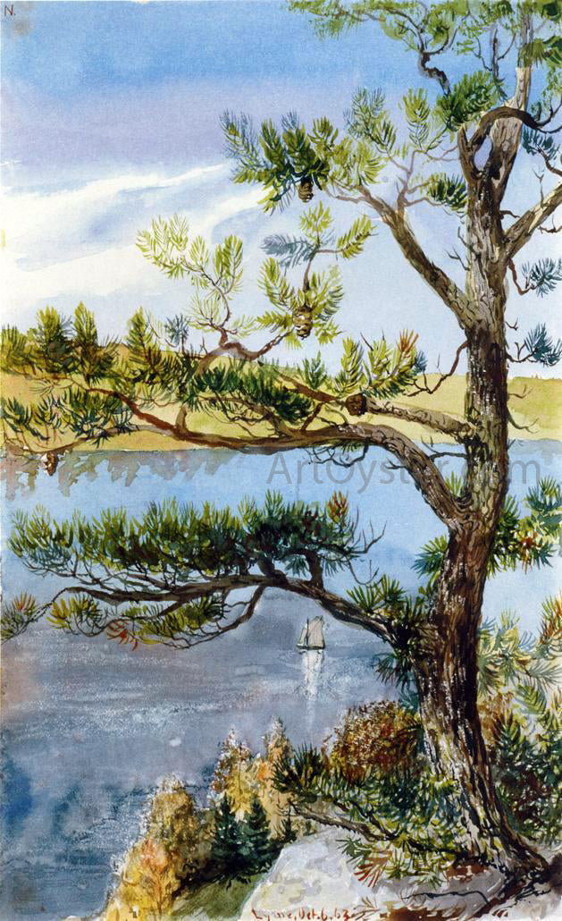 Charles De Wolf Brownell Tree and Sailboat, Lyme, Connecticut - Canvas Print