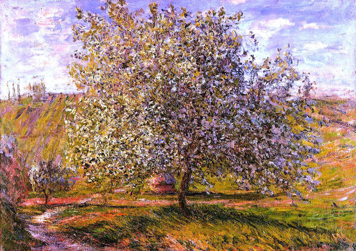 Claude Oscar Monet Tree in Flower near Vetheuil - Canvas Print