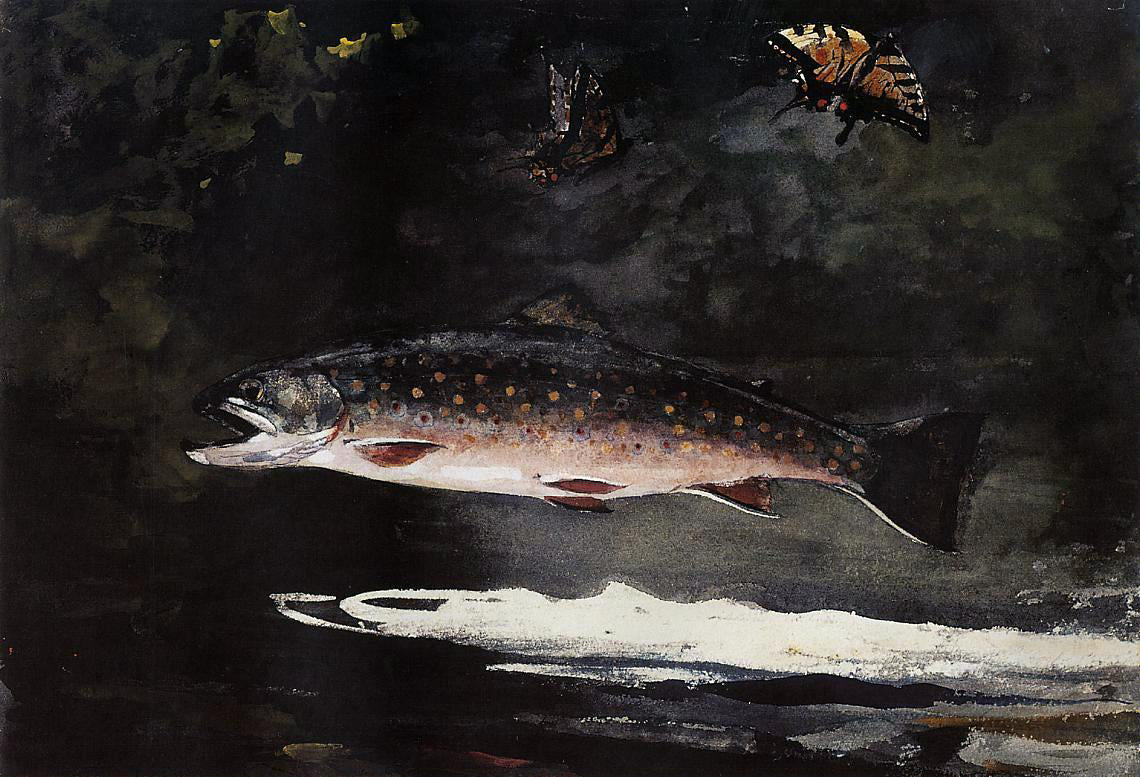 Winslow Homer Trout Breaking - Canvas Print