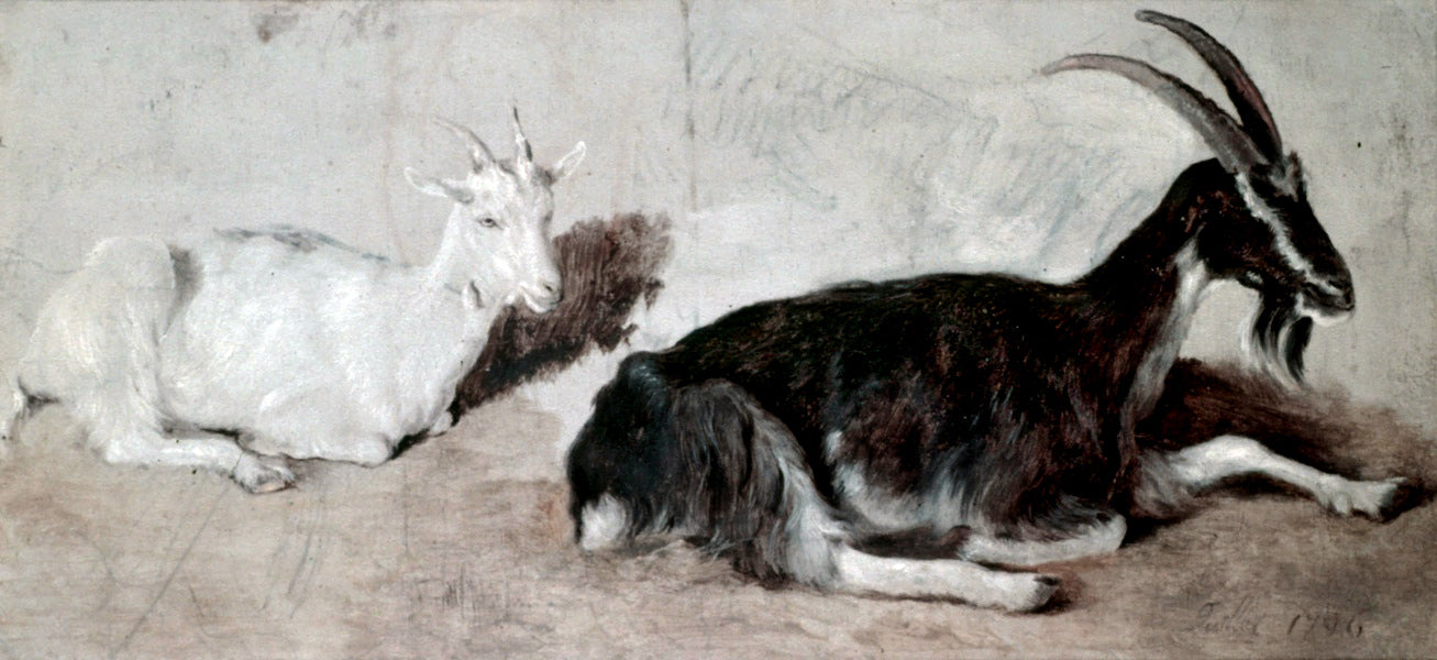 Jacques-Laurent Agasse Two Goats - Canvas Print